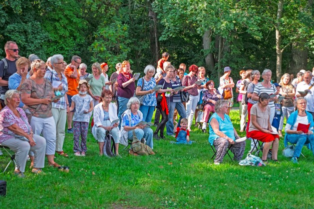 Würfelwiesensingen: Menschen stehen zusammen auf der Wiese und singen